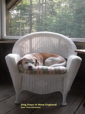 cover image of Dog Days in New England